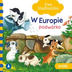 W Europie Podwórko. Królik