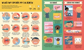 Zęby. Masz tylko dwa zestawy