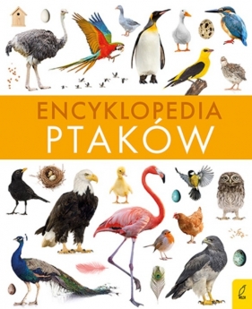Encyklopedia ptaków