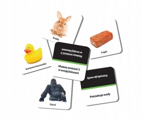 Gra Trefl - Pikti (02079)