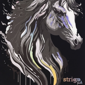 Kołozeszyt Strigo Pads Project Book A4 atka - Unicorn