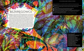 Gabinet owadów (i innych małych stworzeń)