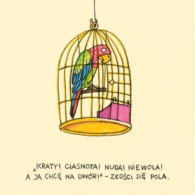 Pola z ulicy Czereśniowej