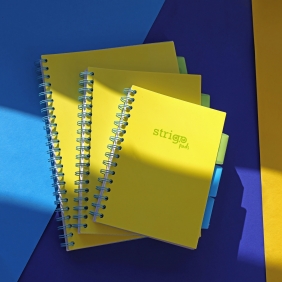 Kołozeszyt Strigo Pads Project Book B5 linia Neon - Żółty