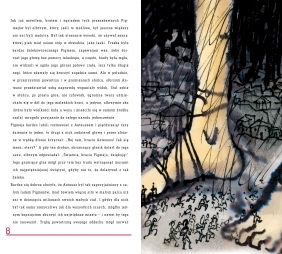 Opowieści z zaczarowanego lasu. Pigmeje (+ audiobook CD)