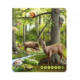 Czytaj z Albikiem: Set Pióro + Świat Zwierząt (61548)