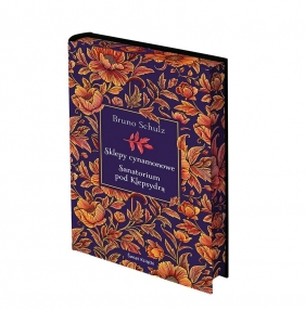 Sklepy cynamonowe. Sanatorium pod Klepsydrą (edycja kolekcjonerska)