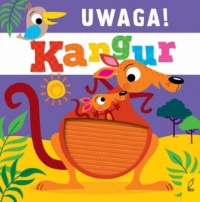 Uwaga. kangur!