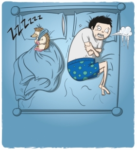 Szczekające Kotki (EKEK07PL)