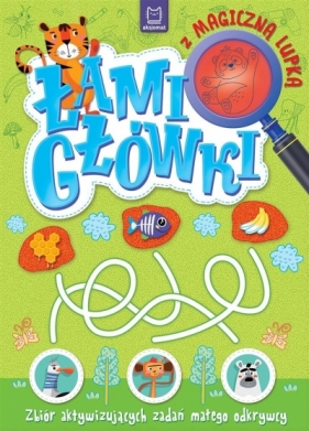 Łamigłówki z magiczną lupką. Zbiór aktywizujących zadań małego odywcy