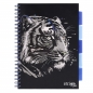 Kołozeszyt Strigo Pads Project Book A4 atka - Tygrys