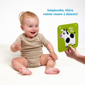 CzuCzu Duże karty kontrastowe (6 mies.+. 9 mies.+)