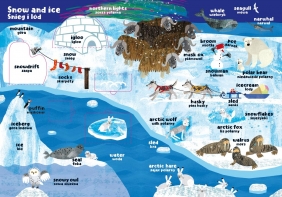 Zwierzęta. Moja pierwsza encyklopedia polsko-angielska z okienkami