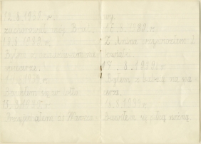 Widziałem pięknego dzięcioła