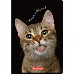 Zeszyt Crazy Animal A5/60k linia z marginesem. 1 szt