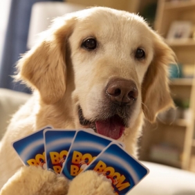 Boom Boom - Psiaki i kociaki (01909)