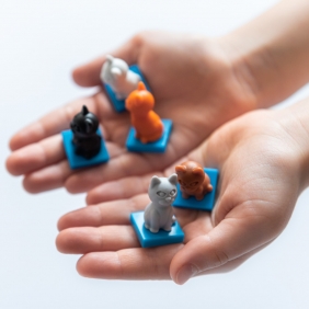 IUVI Games. Smart Games: Kotełki