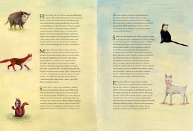 Wszyscy pytają dlaczego