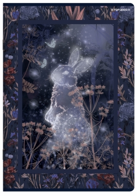 Zeszyt Top 2000 Fairytale A5/32k linia z marginesem. 1 szt