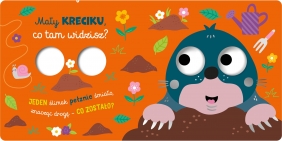 Mała sówko. co tam widzisz?