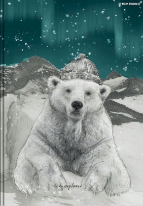 Brulion Top 2000: A5. 96k - Forest/Ice atka