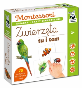 Montessori Zwierzęta tu i tam. Karty sensoryczne z książeczką. Kapitan Nauka