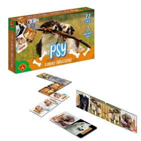 Alexander. Domino obrazkowe - Psy