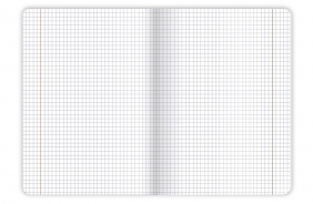 Brulion Top 2000: A4 96k - City. atka