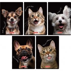 Zeszyt Crazy Animal A5/60k linia z marginesem. 1 szt