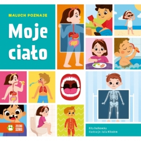 Maluch poznaje. Moje ciało
