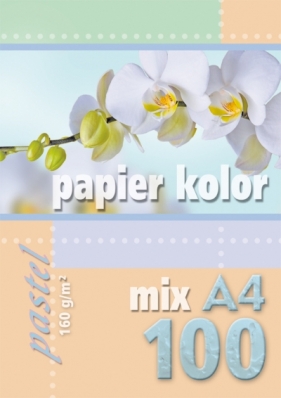 Kreska Papier kolorowy pastelowy A4. 100 kartek. 160 g/m2. wielokolorowy