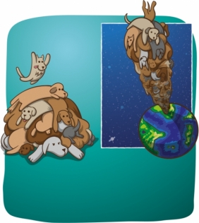 Szczekające Kotki (EKEK07PL)