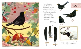 Mały atlas ptaków Ewy i Pawła Pawlaków