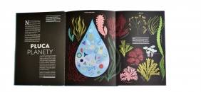 Rośliny. Cuda natury na wyjątkowych ażurowych rycinach