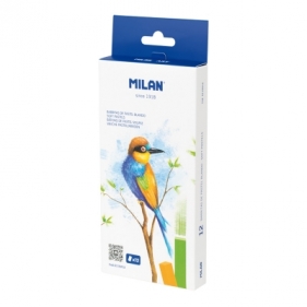 Pastele miękkie 12 kol. w kartonowym opakowaniu