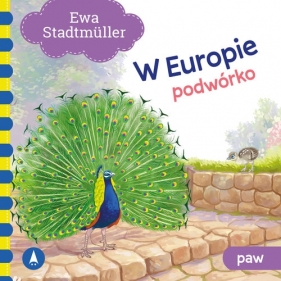 W Europie Podwórko. Paw