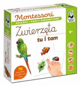 Montessori Zwierzęta tu i tam. Karty sensoryczne z książeczką. Kapitan Nauka