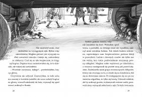 Ale historia.. Skąd te zywe usta. Bolesławie?