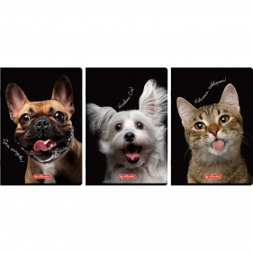 Zeszyt Crazy Animal A4/60k atka z marginesem. 1 szt