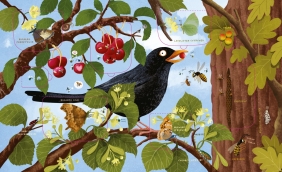 Rok w lesie Robaczki. Książka z okienkami