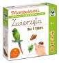 Montessori Zwierzęta tu i tam. Karty sensoryczne z książeczką. Kapitan Nauka