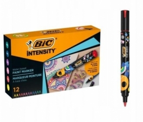 Markery aylowe Intensity Classic Paint mix 12szt