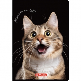 Zeszyt Crazy Animal A5/80k atka z marginesem. 1 szt