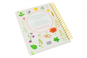 Mój pierwszy zielnik Zbieram kwiaty. liście i trawy