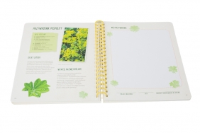 Mój pierwszy zielnik Zbieram kwiaty. liście i trawy