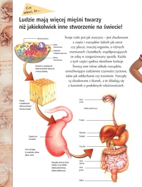 Odywanie świata. Ludzkie ciało