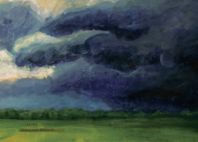 Widziałem pięknego dzięcioła