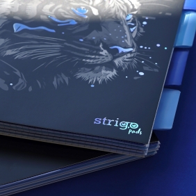 Kołozeszyt Strigo Pads Project Book A4 linia - Tygrys