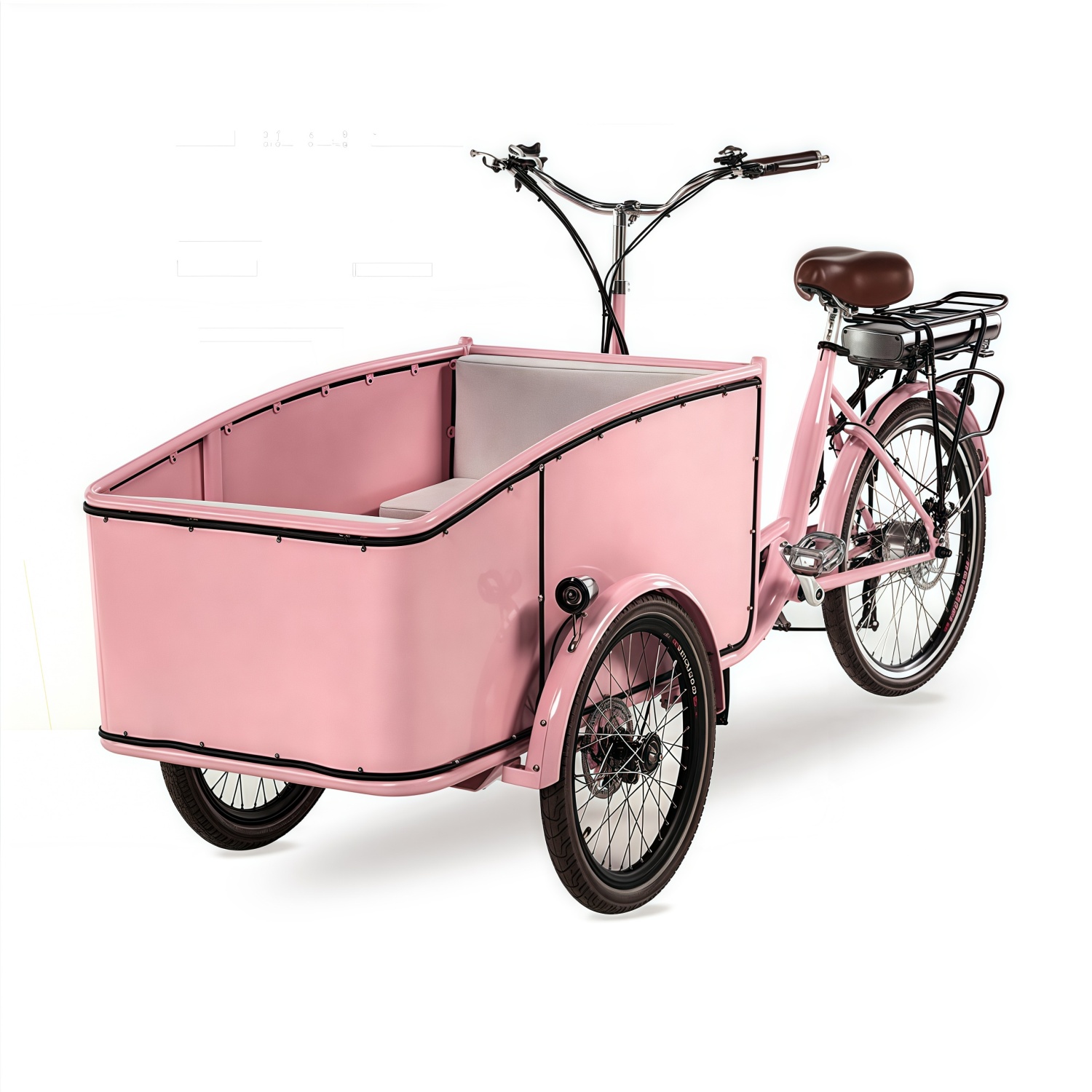 Electric tricycle SLS-0006-2