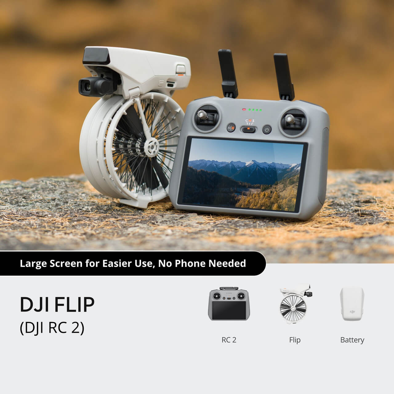 Flip ( RC 2)